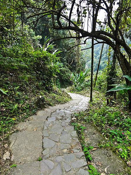 DSC01500.JPG DSC01500.JPG