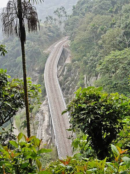 DSC01513.JPG DSC01513.JPG