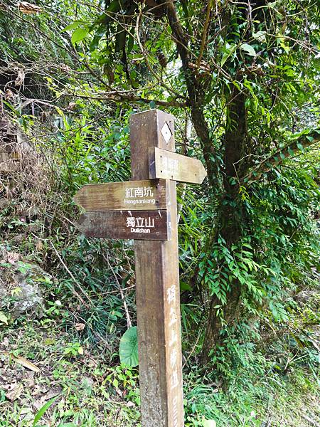 DSC01514.JPG DSC01514.JPG