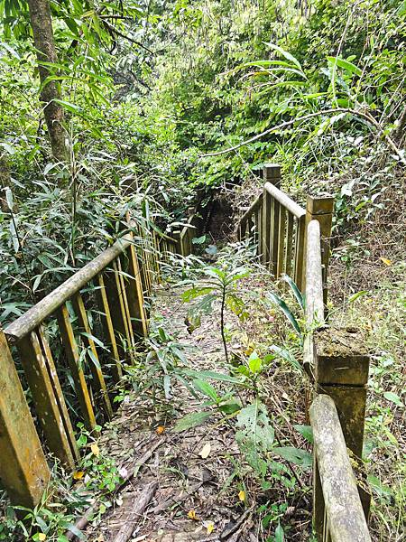 DSC01516.JPG DSC01516.JPG