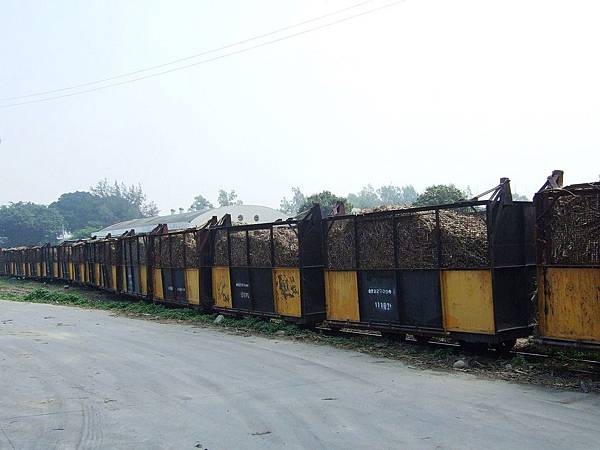 DSCF5972.JPG