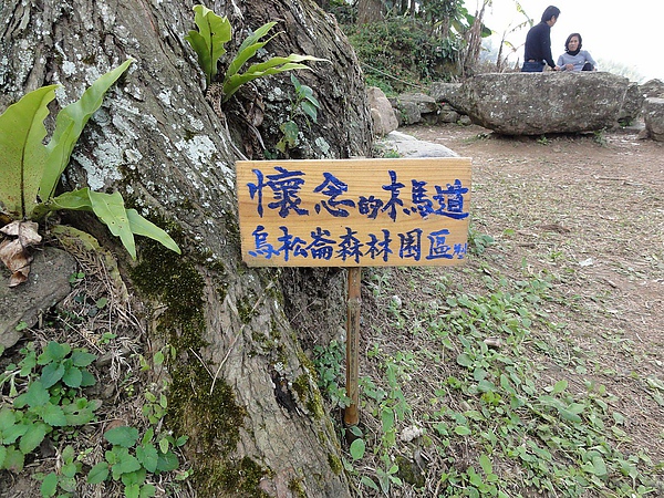 DSC03215.JPG