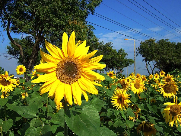 DSCF5525.JPG