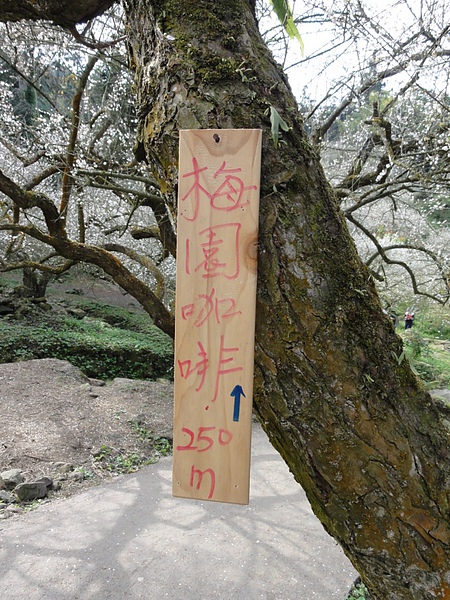 DSC03112.JPG