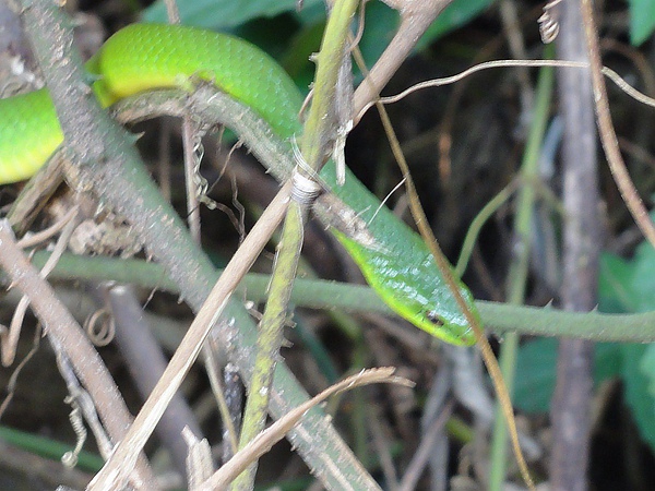 DSC02014.JPG