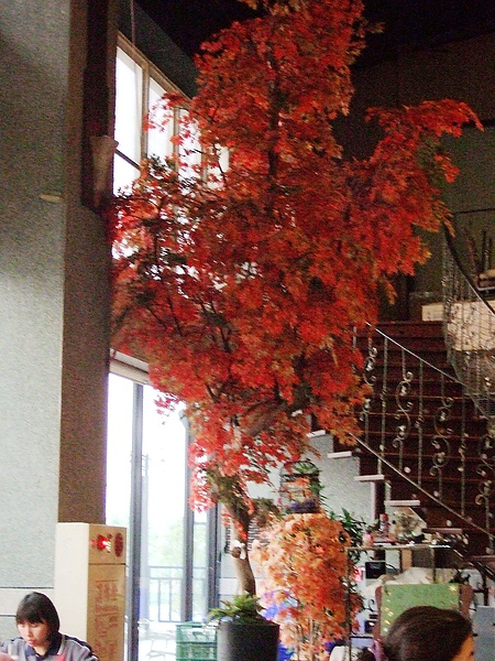 DSCF5834.JPG