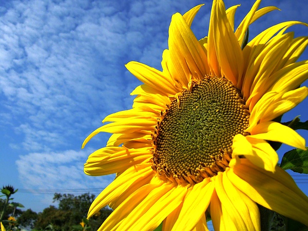DSCF5522.JPG