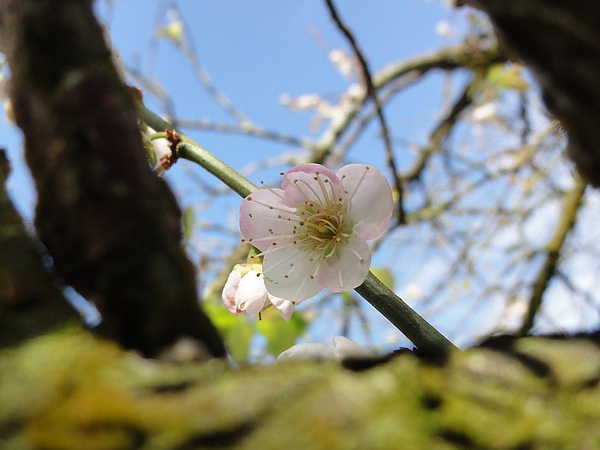 DSC03120.JPG