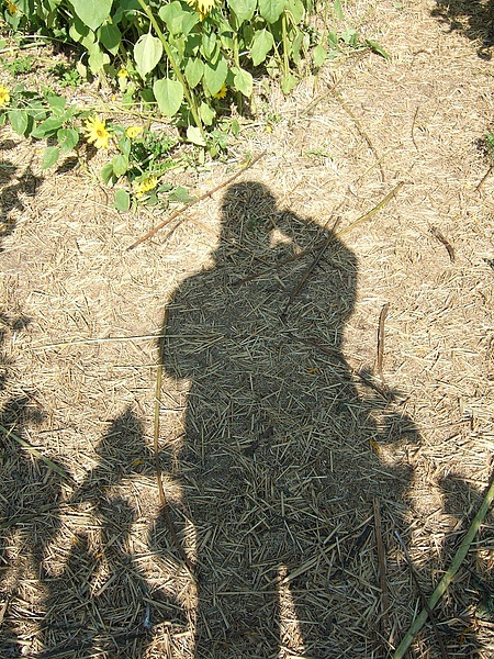 DSCF5520.JPG