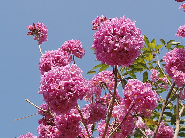 DSC02383.JPG