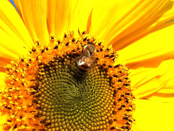DSCF5444.JPG