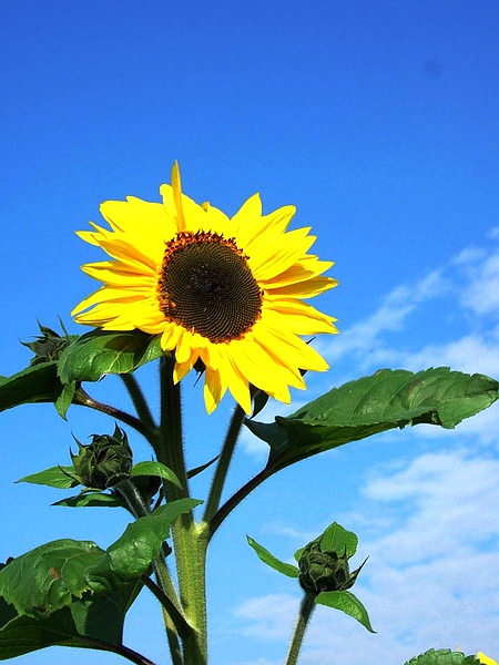 DSCF5500.JPG