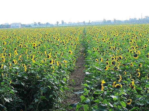 DSCF5429.JPG