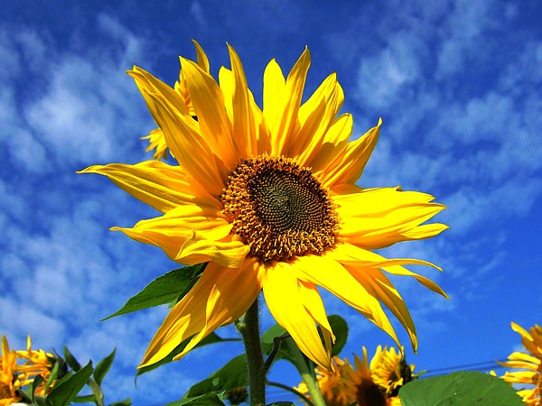 DSCF5438.JPG
