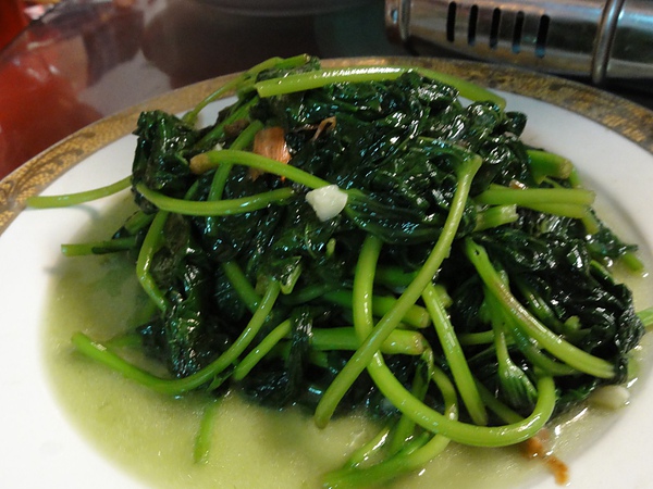 DSC01748.JPG DSC01748.JPG