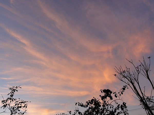 DSC02802.JPG