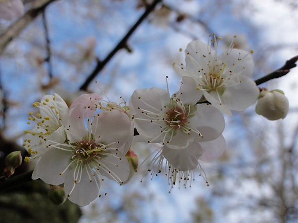 DSC03105.JPG