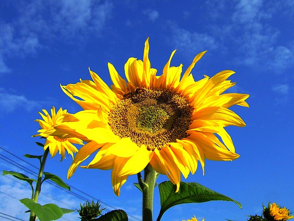 DSCF5437.JPG