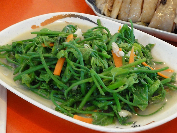 DSC02084.JPG