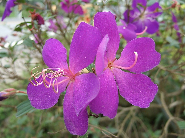 DSCF5009.JPG