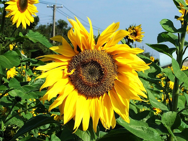 DSCF5531.JPG