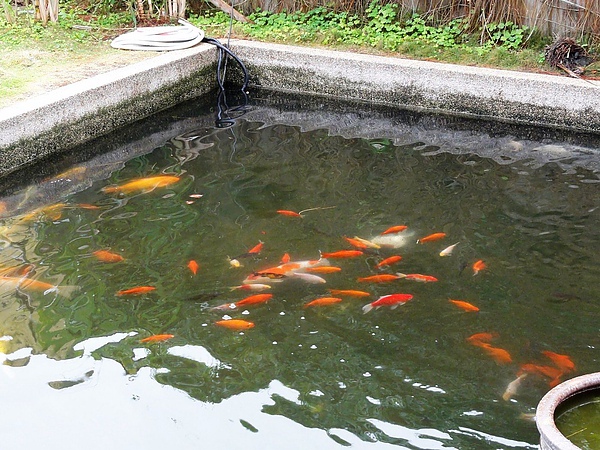 DSC03635.JPG