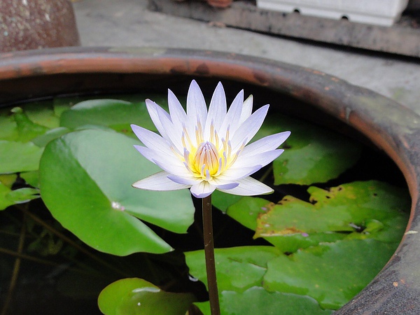 DSC02022.JPG