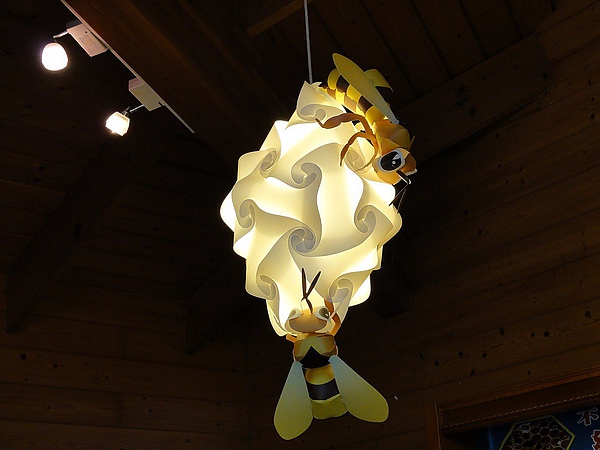 DSC02437.JPG