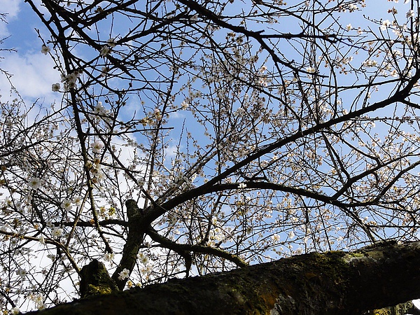 DSC03098.JPG