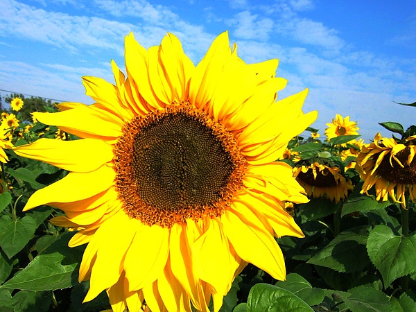 DSCF5418.JPG