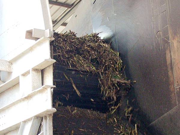 DSCF5968.JPG