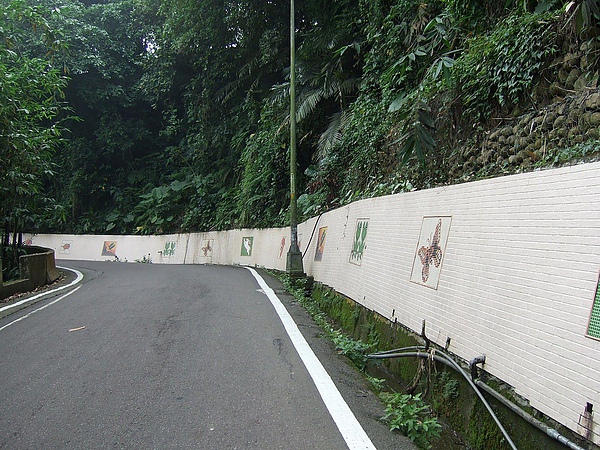 DSCF4999.JPG
