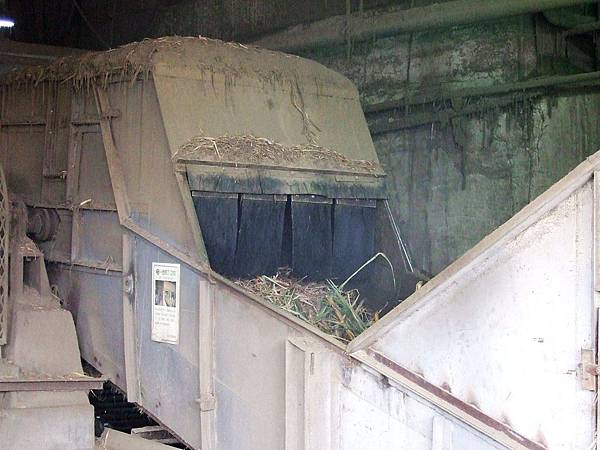 DSCF5974.JPG