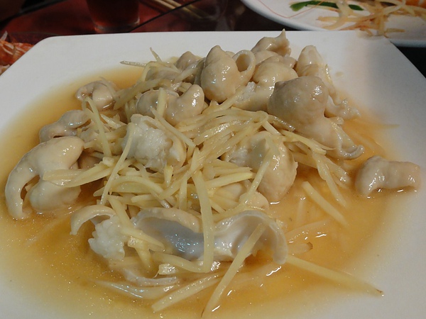 DSC01747.JPG DSC01747.JPG