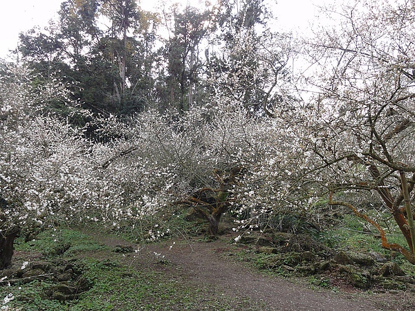 DSC03113.JPG