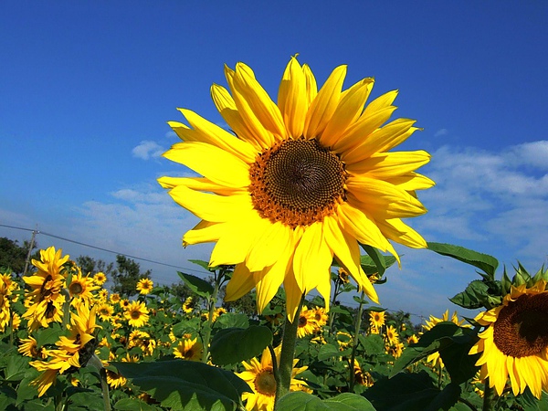 DSCF5505.JPG