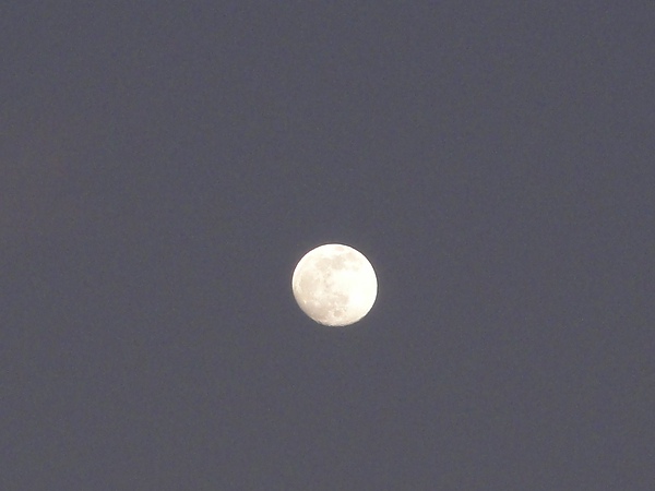 DSC02799.JPG