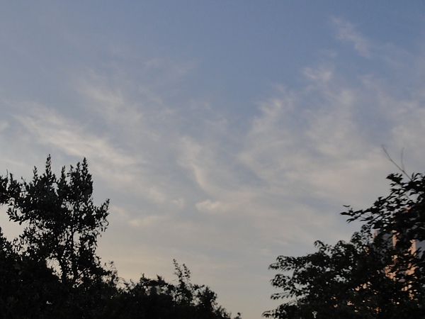 DSC02776.JPG