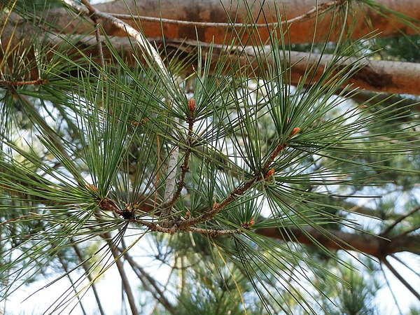 DSC02405.JPG