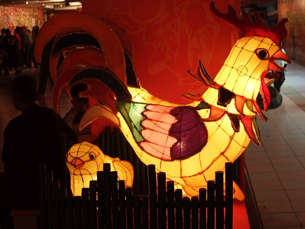 DSCF5733.JPG