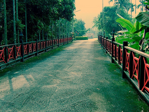 DSCF5037.JPG