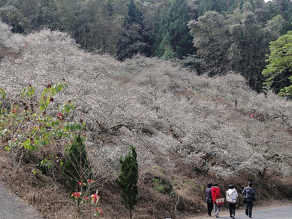 DSC03047.JPG