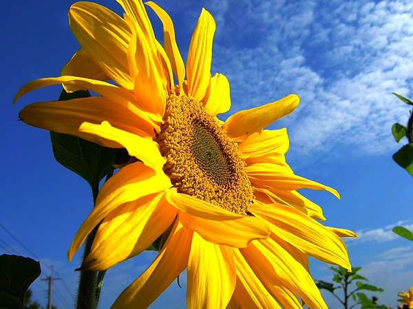 DSCF5433.JPG