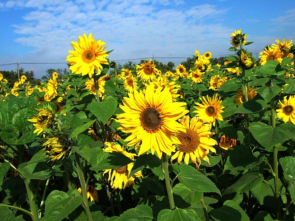DSCF5493.JPG