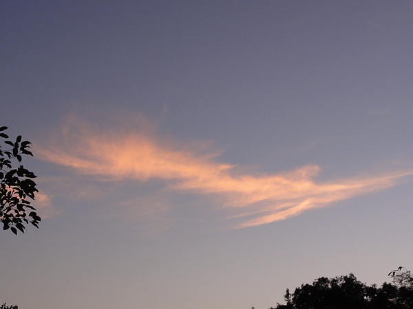 DSC02801.JPG