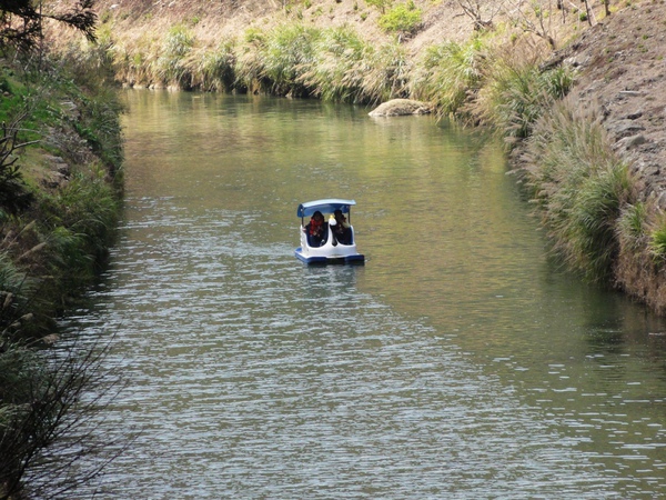 DSC04688.JPG