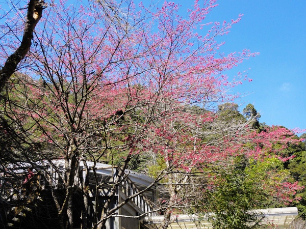 DSC04590.JPG