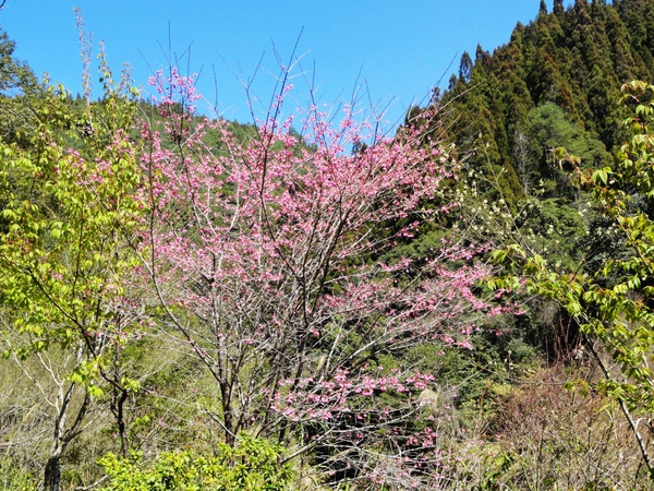 DSC04605.JPG
