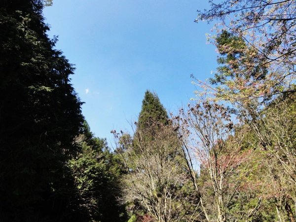 DSC04612.JPG