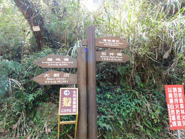 DSC04704.JPG